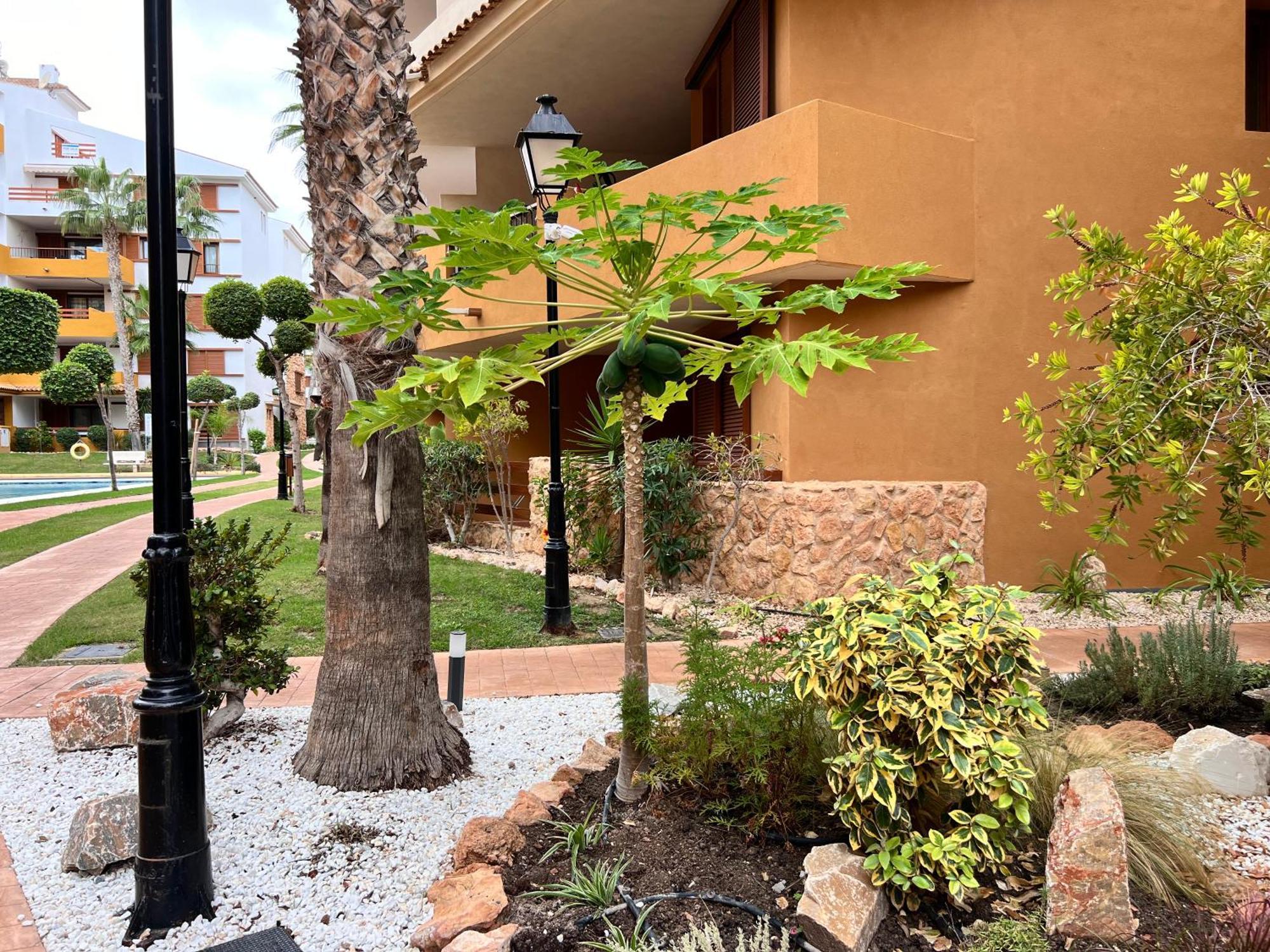 Punta Prima - Sun & Beach & Golf & Bike - Spanish South-Facing Terrace Apartment - La Recoleta - By The Sea Torrevieja Zewnętrze zdjęcie